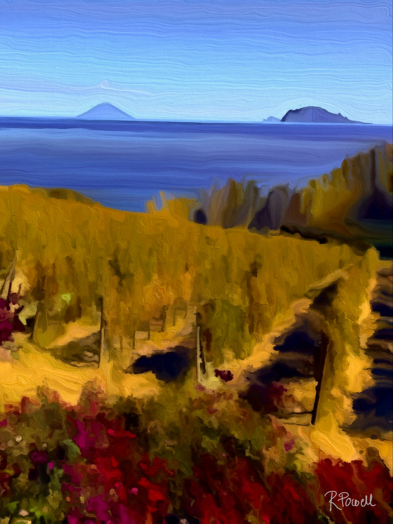 View of Stromboli volcano across the sea from a golden vineyard on Salina, with bougainvillea in the foreground. Artwork by Rosalie Powell.
