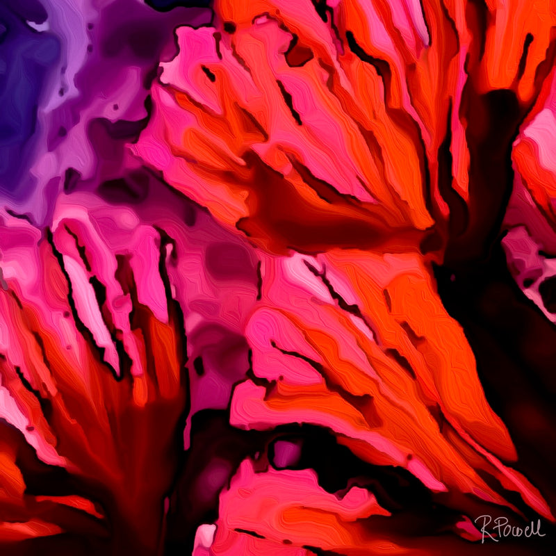 Bold abstract floral forms in red, pink, and purple tones with black accents, resembling flames or petals in motion, radiating energy and heat. Following images all the same, just added to interior settings