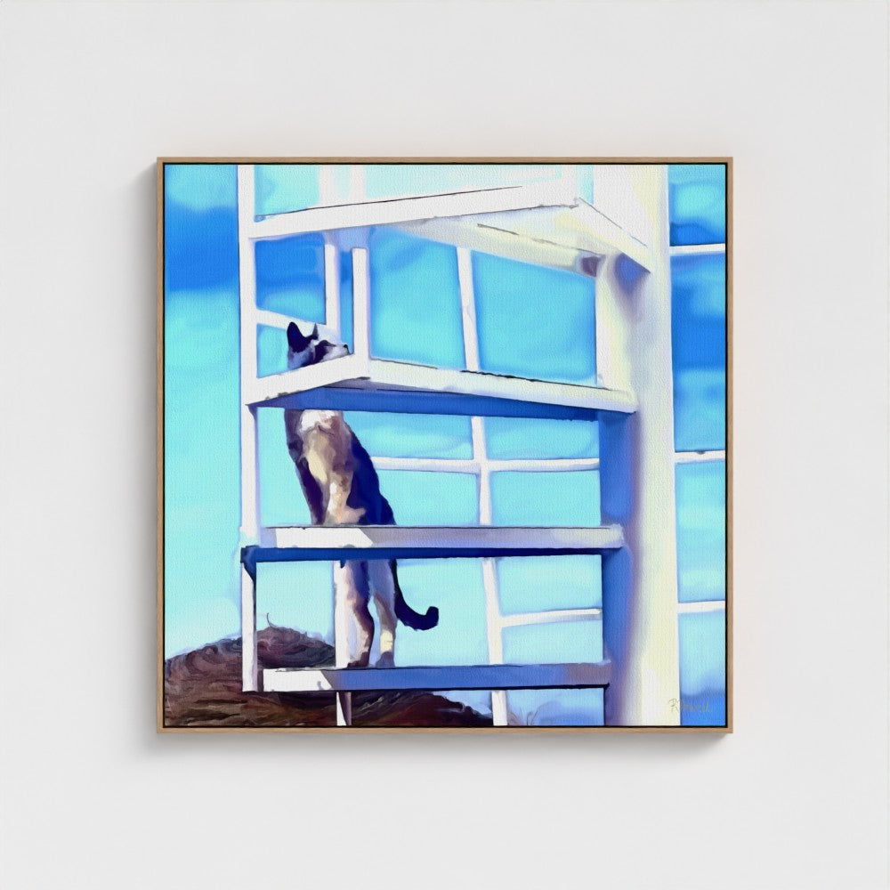 Skywatcher