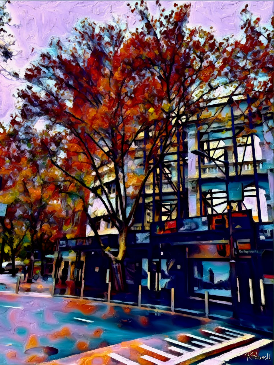 Autumn trees glow above a partially redeveloped building on Macleay Street, their fiery colors reflected on a wet road, capturing Potts Point’s past and renewal. Same image in following photos with assorted interior views.