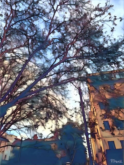 Tall trees with bare branches stretch across the sky above sandstone buildings in Potts Point, with soft, golden light and shadows cast along the street. The following images feature the same artwork in different interior settings.