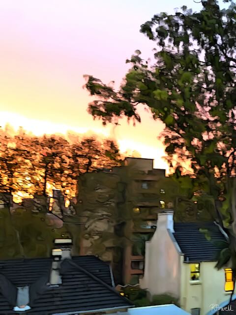 Sunset over Potts Point rooftops and trees, with warm orange and pink light behind silhouetted chimneys and a leafy skyline. The following images feature the same artwork in different interior settings.