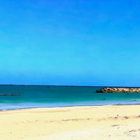 Painting of a calm beach at Rottnest Island with pale sand, clear turquoise water, a distant rocky breakwall, and a cloudless blue sky. The following images show the same artwork displayed in different interior settings.