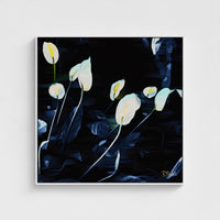 Lilies After Dark
