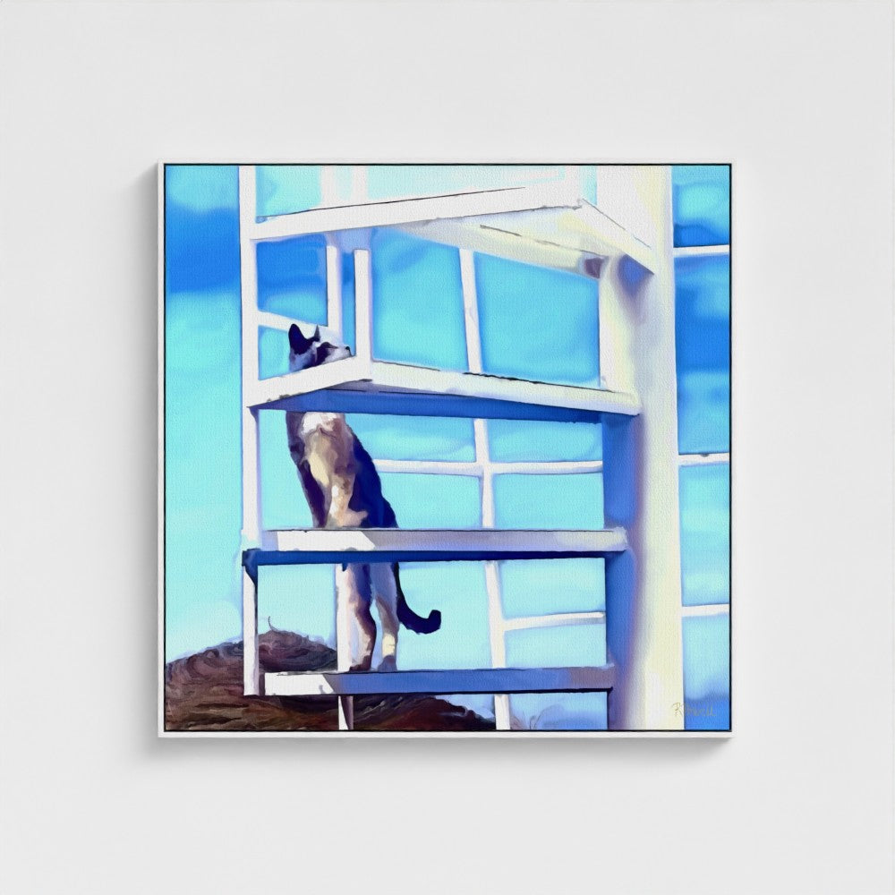 Skywatcher
